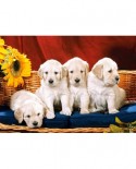 Puzzle Castorland - Puppies with Sunflower, 1000 piese (101771)