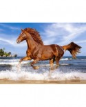 Puzzle Castorland - Horse on the beach, 500 piese