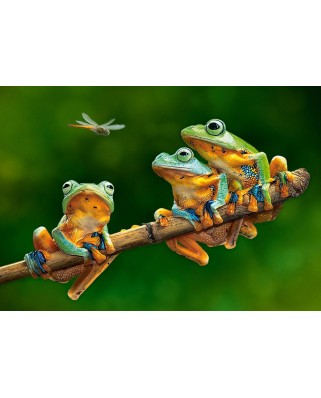 Puzzle Castorland - The Frog Companions, 500 piese