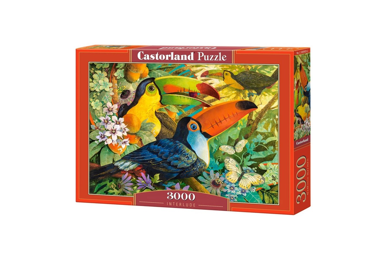 Puzzle Castorland - Interlude, 3000 piese