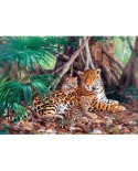 Puzzle Castorland - Jaguars in the Jungle (5904438300280), 3000 piese