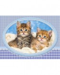Puzzle Castorland - Kittens Curling Up On A Blanket, 120 Piese