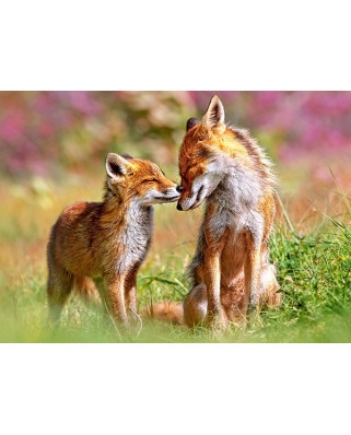 Puzzle Castorland - Little Fox And His Mums, 120 Piese