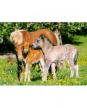 Puzzle Castorland - Ponies In The Meadow, 120 Piese