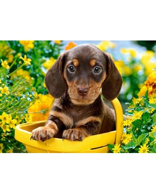 Puzzle Castorland - Puppy In Yellow, 180 Piese
