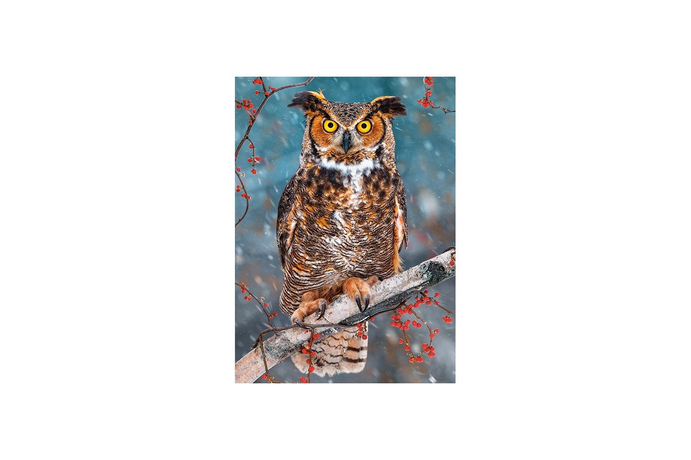 Puzzle Castorland - Great Horned Owl, 260 Piese