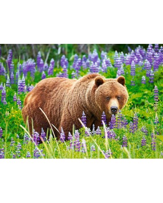 Puzzle Castorland - Bear On The Meadow, 500 Piese