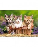 Puzzle Castorland - Three Lovely Kittens, 500 Piese