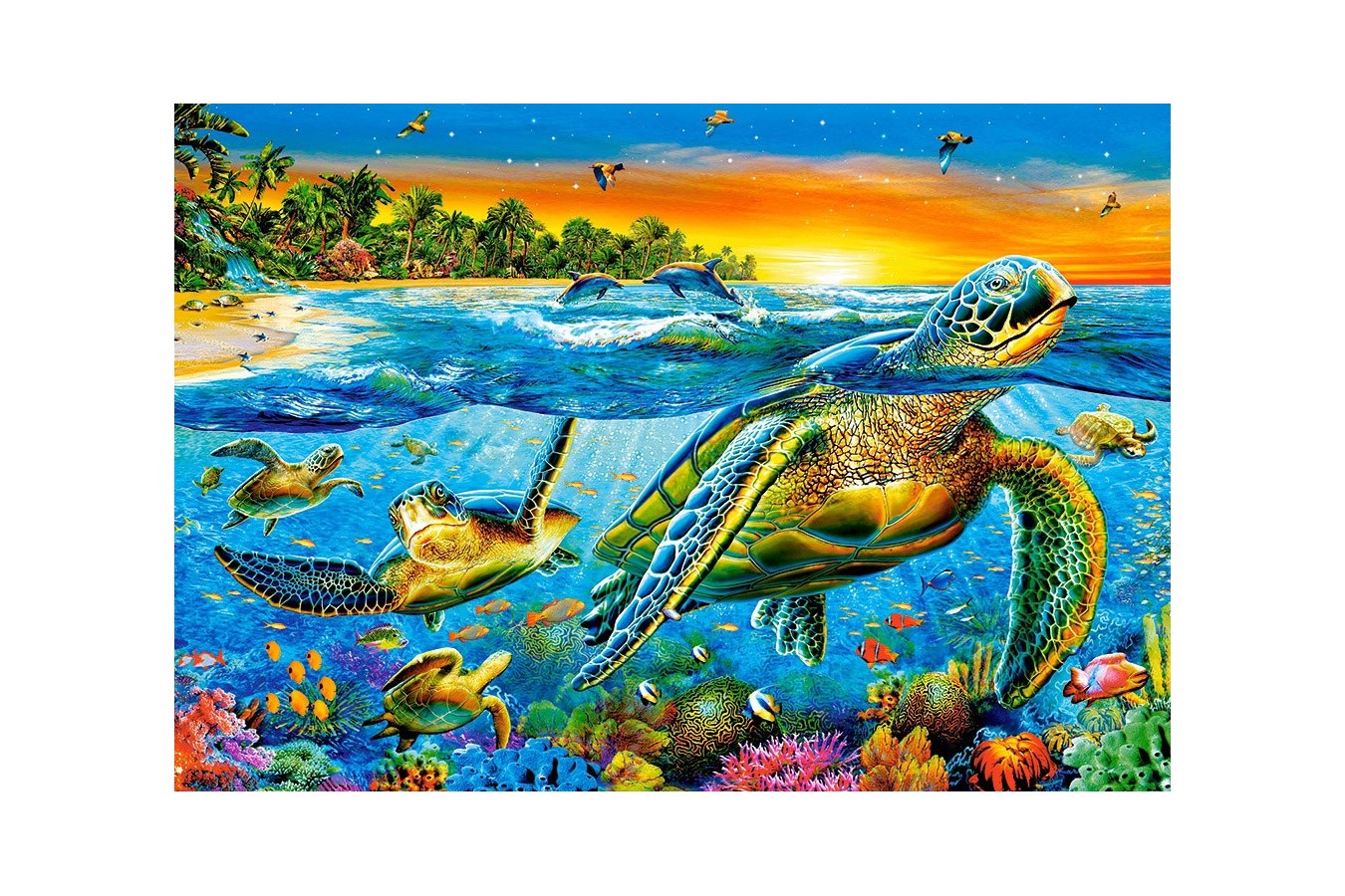 Puzzle Castorland - Underwater Turtles, 1000 Piese
