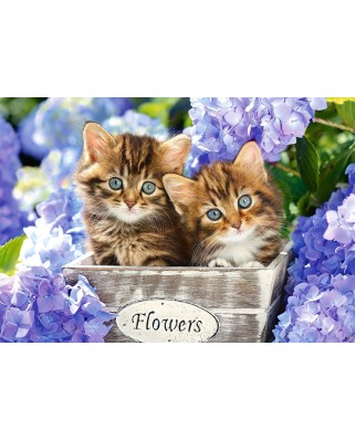 Puzzle Castorland - Cute Kittens, 1500 Piese
