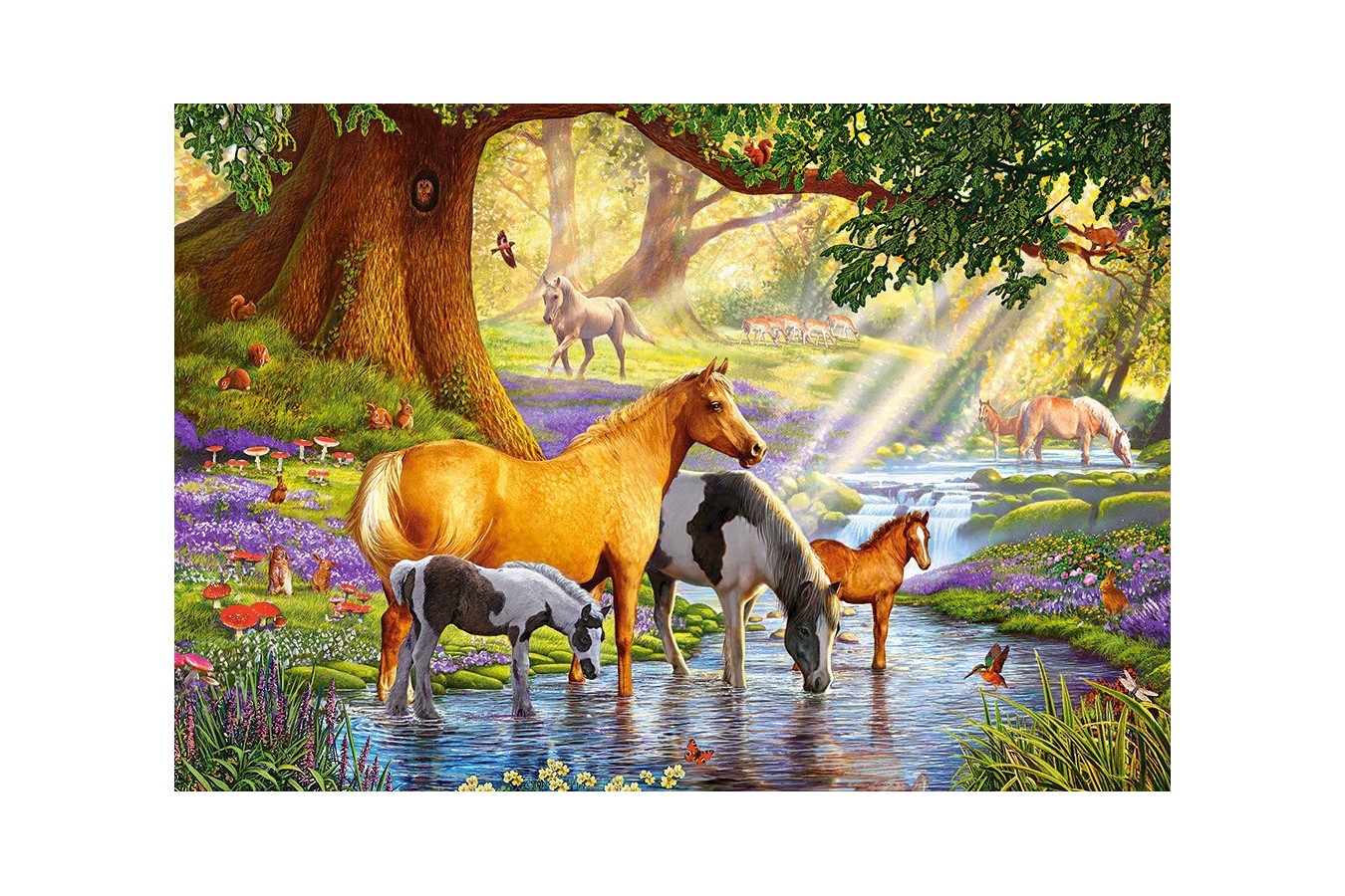 Puzzle Castorland - Horses by the stream, 1000 piese