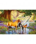 Puzzle Castorland - Horses by the stream, 1000 piese