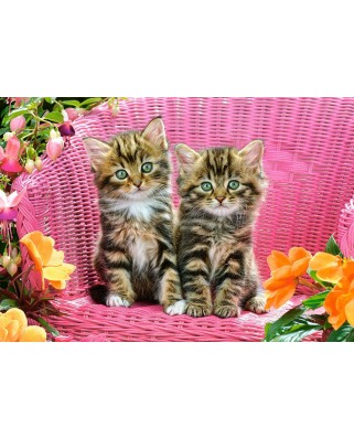 Puzzle Castorland - Kittens on garden chair, 1000 piese