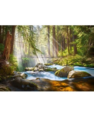 Puzzle Castorland - Forest stream of light, 500 piese