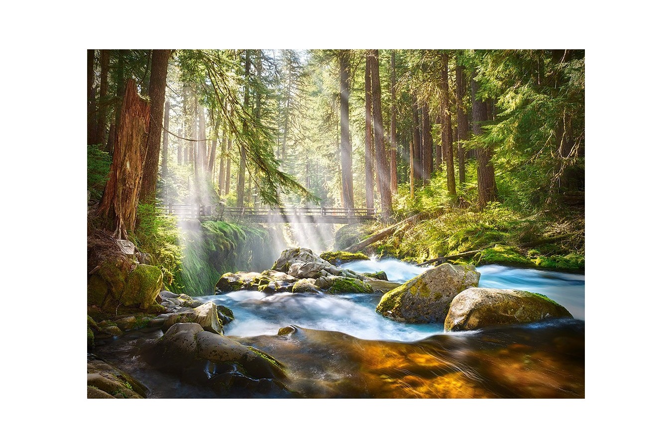 Puzzle Castorland - Forest stream of light, 500 piese