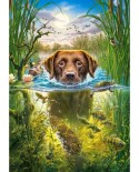 Puzzle Castorland - Swimming Dog, 500 piese