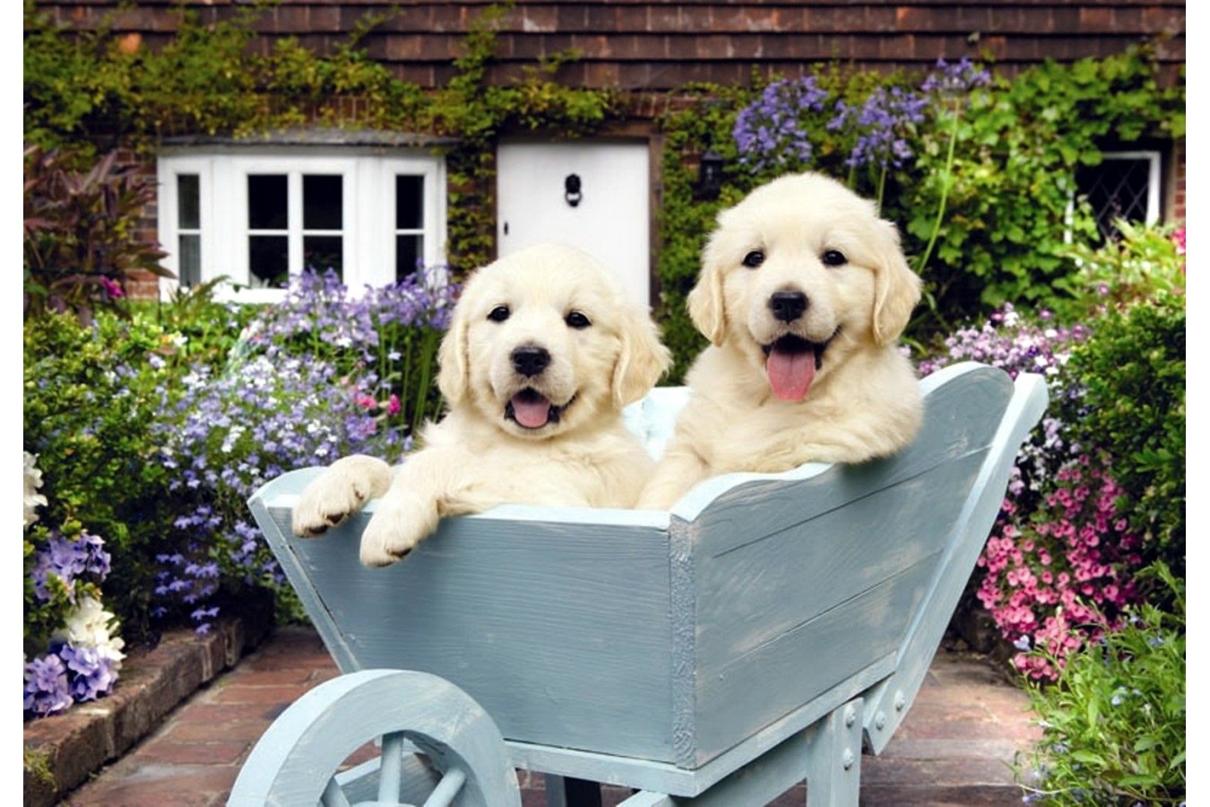Puzzle Anatolian - Puppies In A Wheelbarrow, 260 piese (3310)