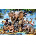 Puzzle Anatolian - Africa Smile, 1000 piese (1043)