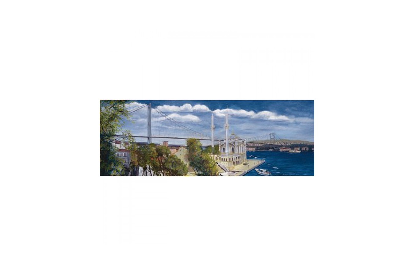Puzzle Educa - Turkey Special Collection: Ortakoy Panorama, 1000 piese (14314)
