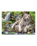 Puzzle Educa - White Bengale Tigers, 1000 piese, include lipici puzzle (14808)