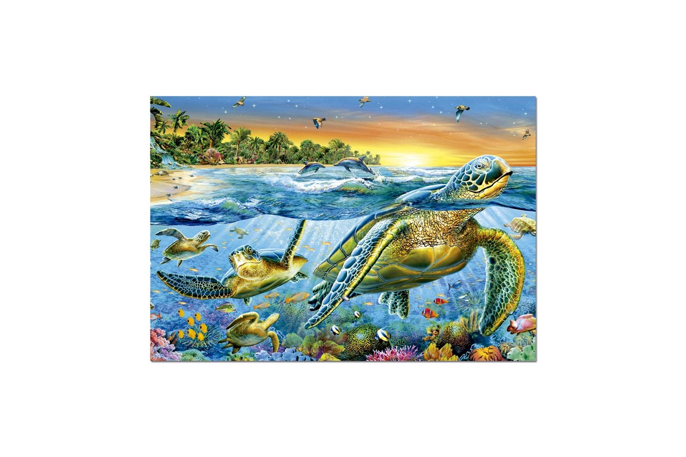 Puzzle Educa - Marine Turtles, 500 piese (15147)