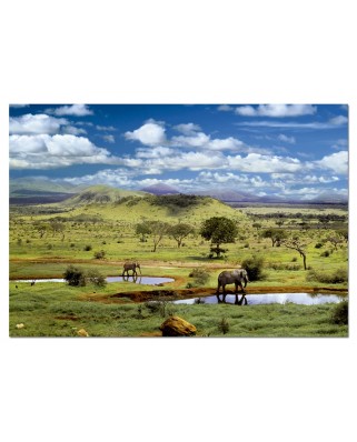 Puzzle Educa - Tsavo National Park, Kenya, 500 piese (15152)