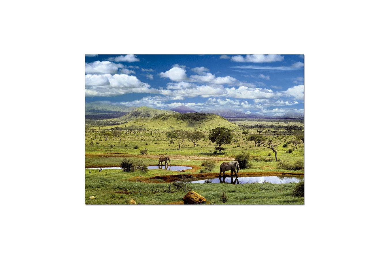 Puzzle Educa - Tsavo National Park, Kenya, 500 piese (15152)