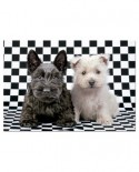 Puzzle Educa - Black and White Terriers, 500 piese (15508)
