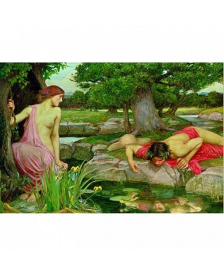 Puzzle Educa - John William Waterhouse: Echo and Narcissus, 3000 piese (15541)