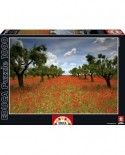 Puzzle Educa - Field of Poppies, 1000 piese (15992)