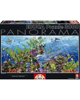Puzzle Educa - Dolphins, 3000 piese (16020)