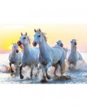 Puzzle Educa - White Horses at Sunset, 1000 piese, include lipici puzzle (17105)
