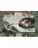 Puzzle Ravensburger - Michelangelo: Michelangelo - Crearea Lui Adam, 5000 piese (17408)