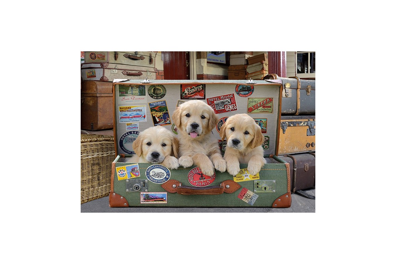 Puzzle Educa - Puppies in the luggage, 500 piese, include lipici puzzle (17645)