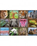 Puzzle Educa - Wild animals collage, 1000 piese, include lipici puzzle (17656)