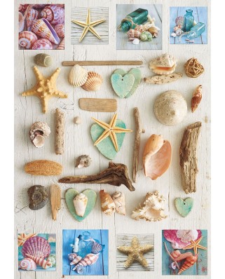 Puzzle Educa - Seashells collage, 1000 piese, include lipici puzzle (17658)
