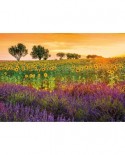 Puzzle Educa - Field of sunflowers and lavender, 1500 piese, include lipici puzzle (17669)