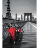 Puzzle Educa - Red umbrella, Brooklyn bridge "Coloured Black & White", 1000 piese, include lipici puzzle (17691)