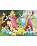 Puzzle Educa - Disney Princesses, 500 piese, include lipici puzzle (17723)