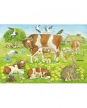 Puzzle Schmidt - Familii de animale, 3x48 piese, include 1 poster (56222)