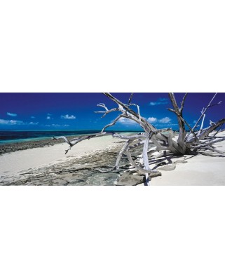 Puzzle panoramic Schmidt - Mark Gray: Insula Green Island, Queensland, Australia, 136 piese (59362)