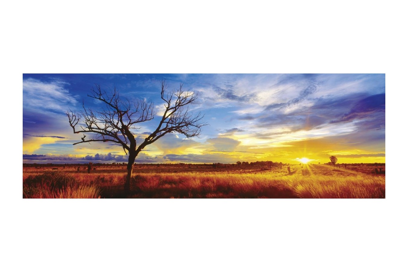 Puzzle panoramic Schmidt - Desertul Oak in lumina apusului, 1000 piese (59287)