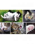 Puzzle Trefl - Collage - Cats, 1500 piese (61520)