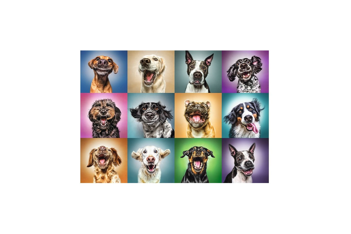 Puzzle Trefl - Funny Dog Portraits, 1000 piese (61514)