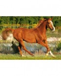 Puzzle Trefl - Galloping horse, 500 piese (40482)