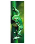 Puzzle Trefl - Little Frog, 300 piese (58163)