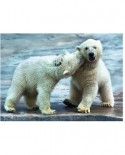 Puzzle Trefl - Polar bears, 500 piese (58153)