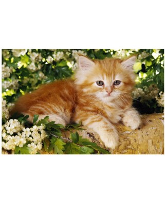 Puzzle Trefl - Redhead kitten in the flowers, 54 piese (41427)