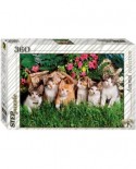 Puzzle Step - Cat's family, 360 piese (60259)