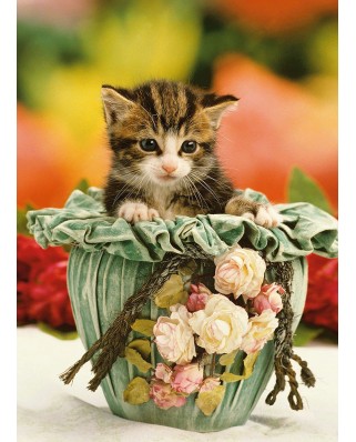 Puzzle Step - Kitten in a Pot, 120 piese mini (60622)